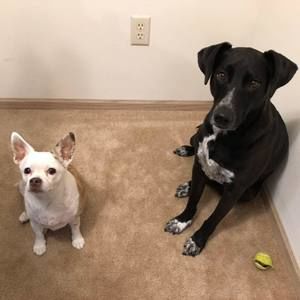 Meet your Posher, Kelley